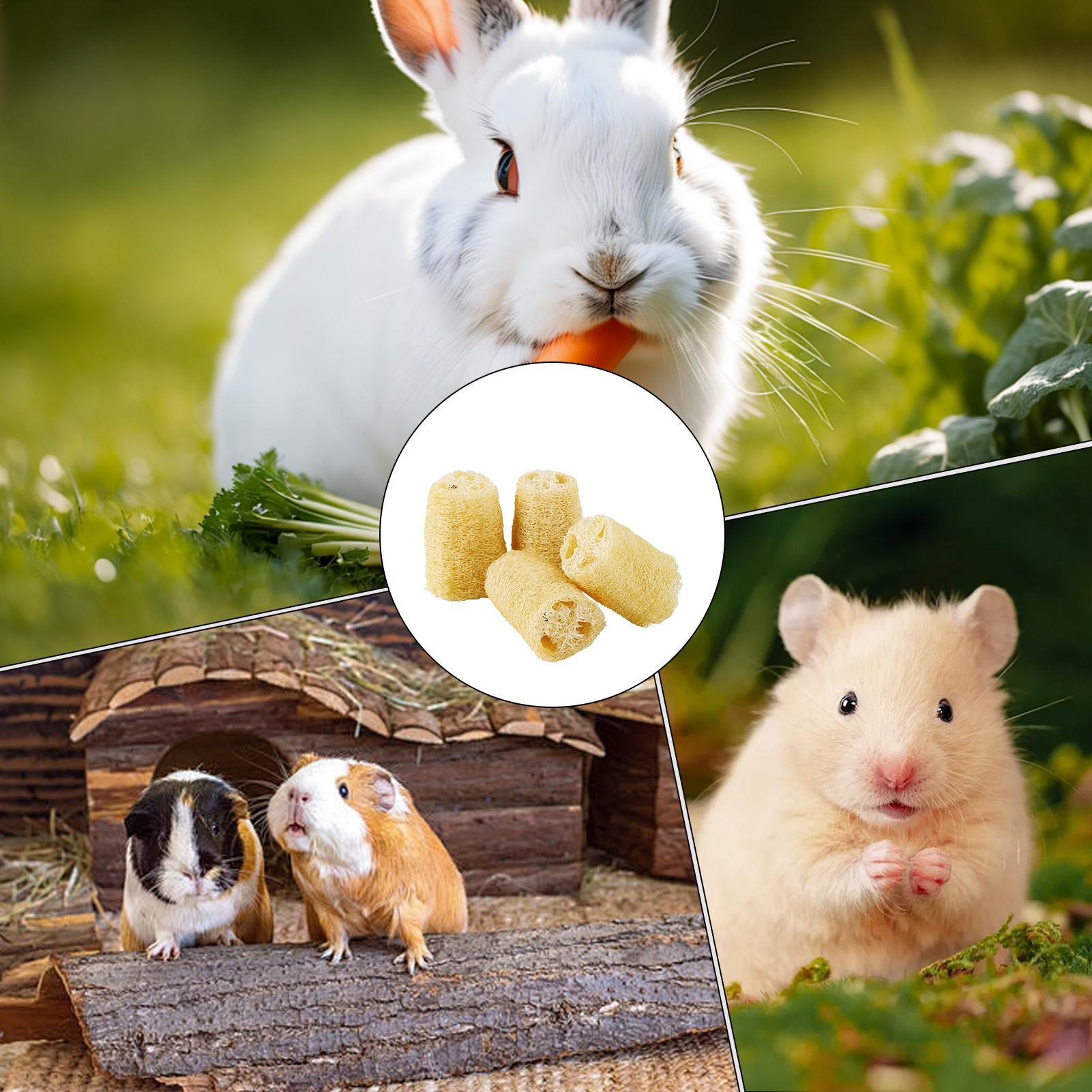 Pet Supplies Pet Shop - Zabawki do żucia dla królików 4