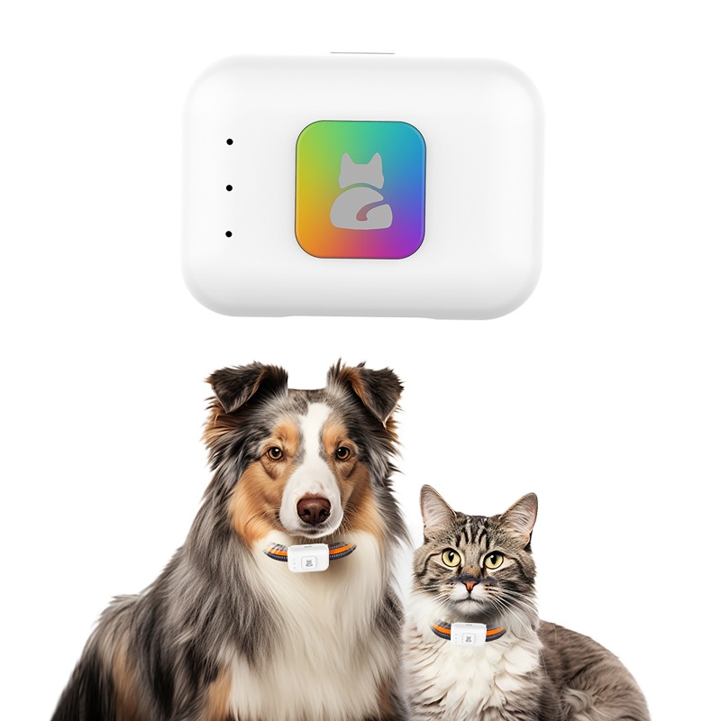 Urządzenie śledzące GPS AGPS d – Pet Supplies Discount recenzja i cena