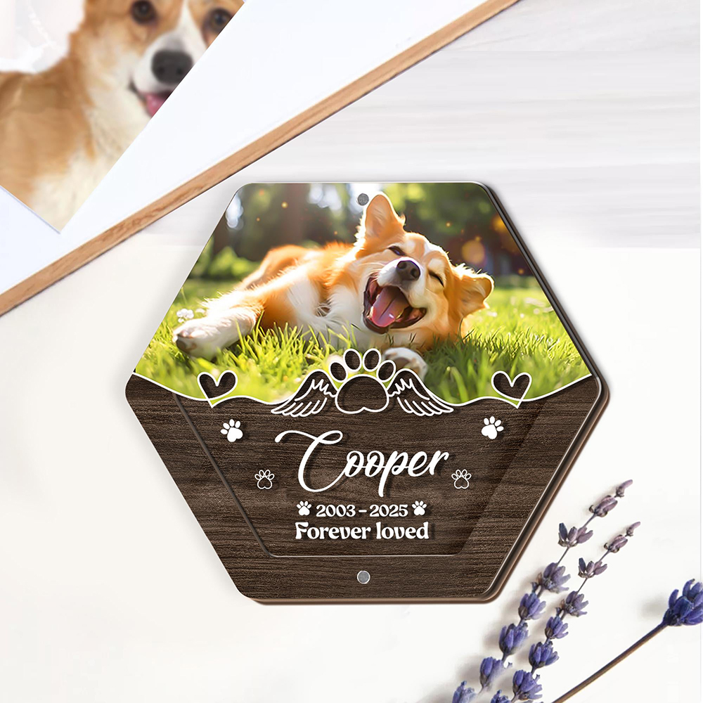 Spersonalizowane drewniane pud – Pet Supplies Discount recenzja i cena