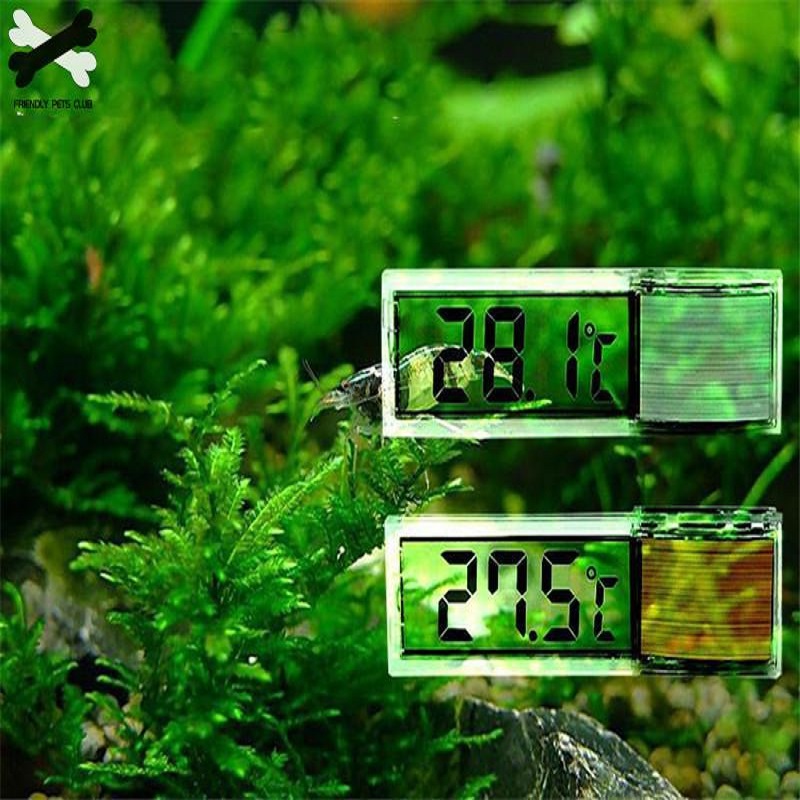 Cyfrowy elektroniczny termomet – Pet Supplies Pet Shop recenzja i cena