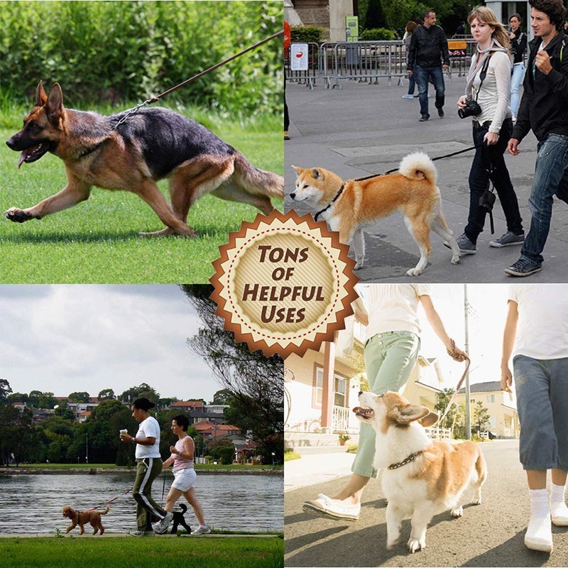 Benepaw wysokiej klasy skórzan – Pet Supplies Pet Shop recenzja i cena